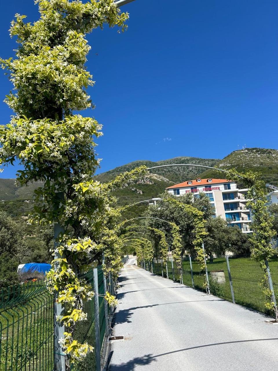 Hotel Borshi Eksteriør billede